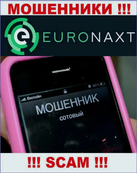 Вас пытаются развести на денежные средства, EuroNaxt Com ищут очередных лохов