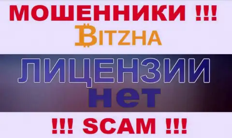 Мошенникам Bitzha24 Com не дали лицензию на осуществление деятельности - отжимают финансовые вложения