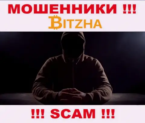 Перейдя на информационный портал мошенников Bitzha вы не отыщите никакой инфы об их руководителях