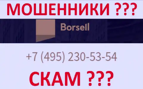 С какого именно номера телефона позвонят internet-мошенники из конторы Borsell Ru неизвестно, у них их немало