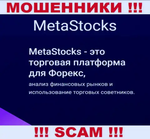 Форекс - конкретно в указанной области прокручивают свои делишки наглые internet мошенники Meta Stocks