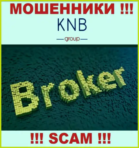 Сфера деятельности незаконно действующей организации KNB Group - это Брокер