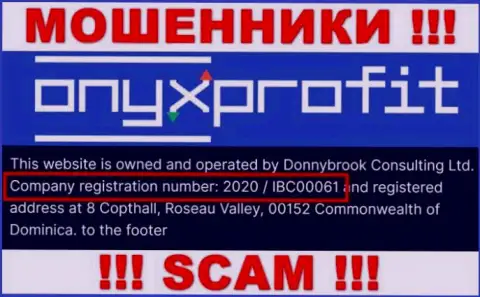Номер регистрации, который принадлежит организации OnyxProfit - 2020 / IBC00061