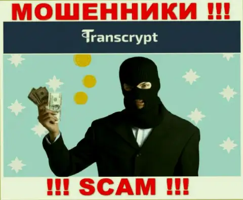 Не нужно соглашаться работать с организацией TransCrypt Eu - обчистят кошелек