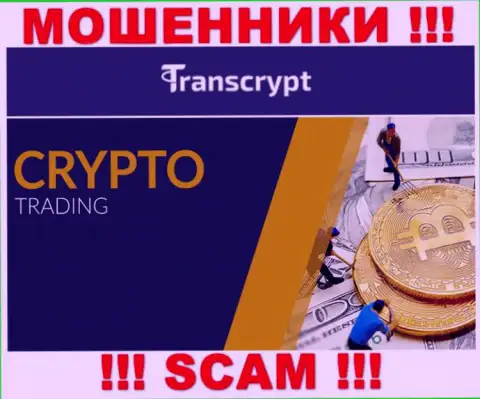 ТрансКрипт - это мошенники !!! Область деятельности которых - Crypto trading
