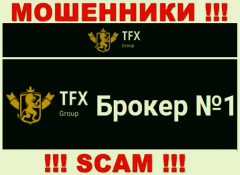 Не надо доверять вложенные деньги TFX-Group Com, ведь их направление работы, Форекс, развод