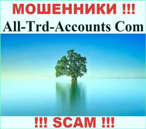 All-Trd-Accounts Com крадут вклады и выходят сухими из воды - они прячут инфу о юрисдикции