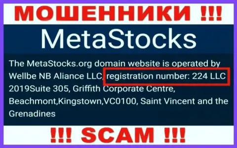 Регистрационный номер организации Meta Stocks - 224 LLC 2019