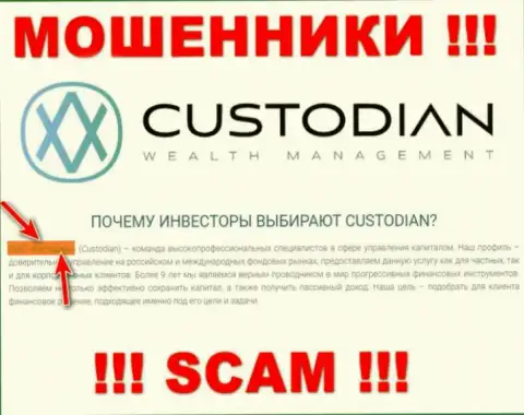 Юридическим лицом, владеющим internet обманщиками Кастодиан Ру, является ООО Кастодиан
